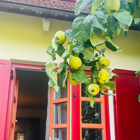 Lejlighed Moewenblick Bakenberg-41 Mit Terrasse, Doppelbett, Schlafsofa, Vollstaendige Komfortkueche Dranske